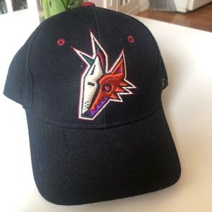phoenix coyotes beanie